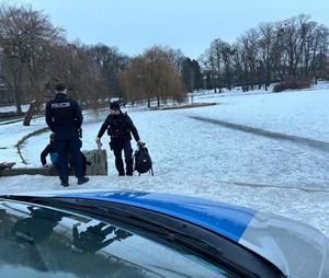 na zdjęciu policjanci na interwencji w parku